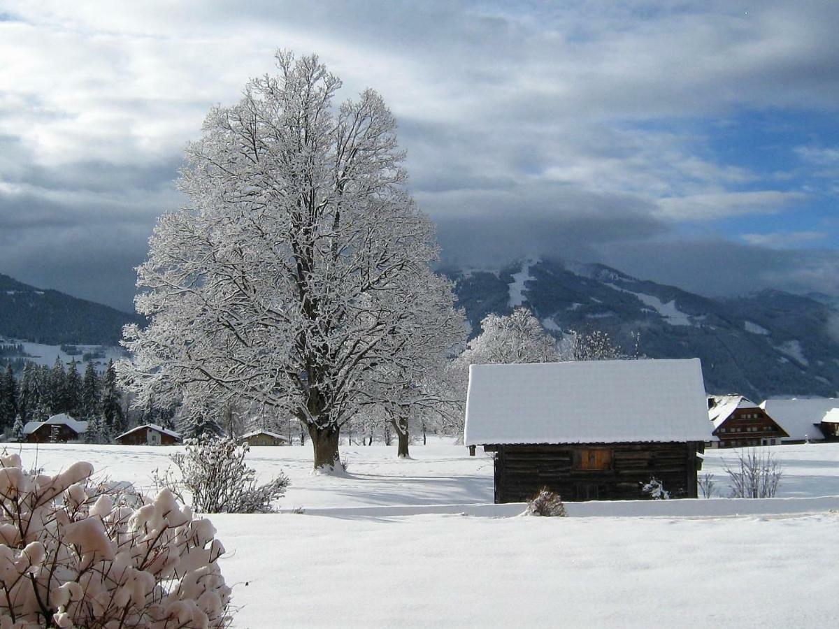 Ferienwohnung Blockhaus Royer Ramsau am Dachstein Exterior foto